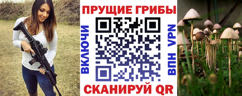Псилоцибиновые грибы прущие грибы  Новоржев 